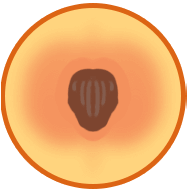 Peach